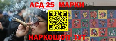 крисы Пенза