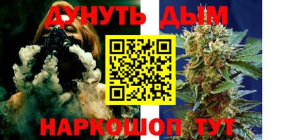 крисы Пенза