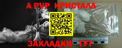 крисы Пенза